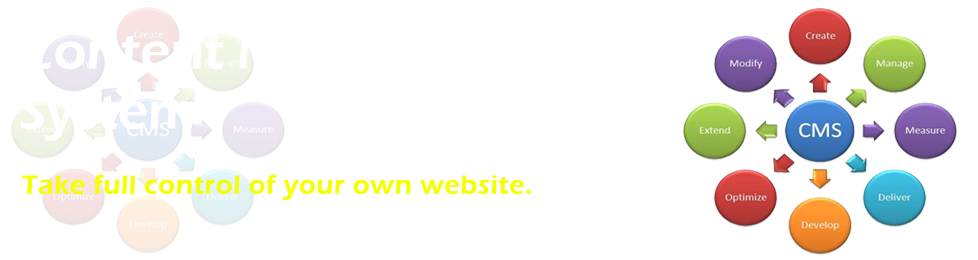 Content Management System